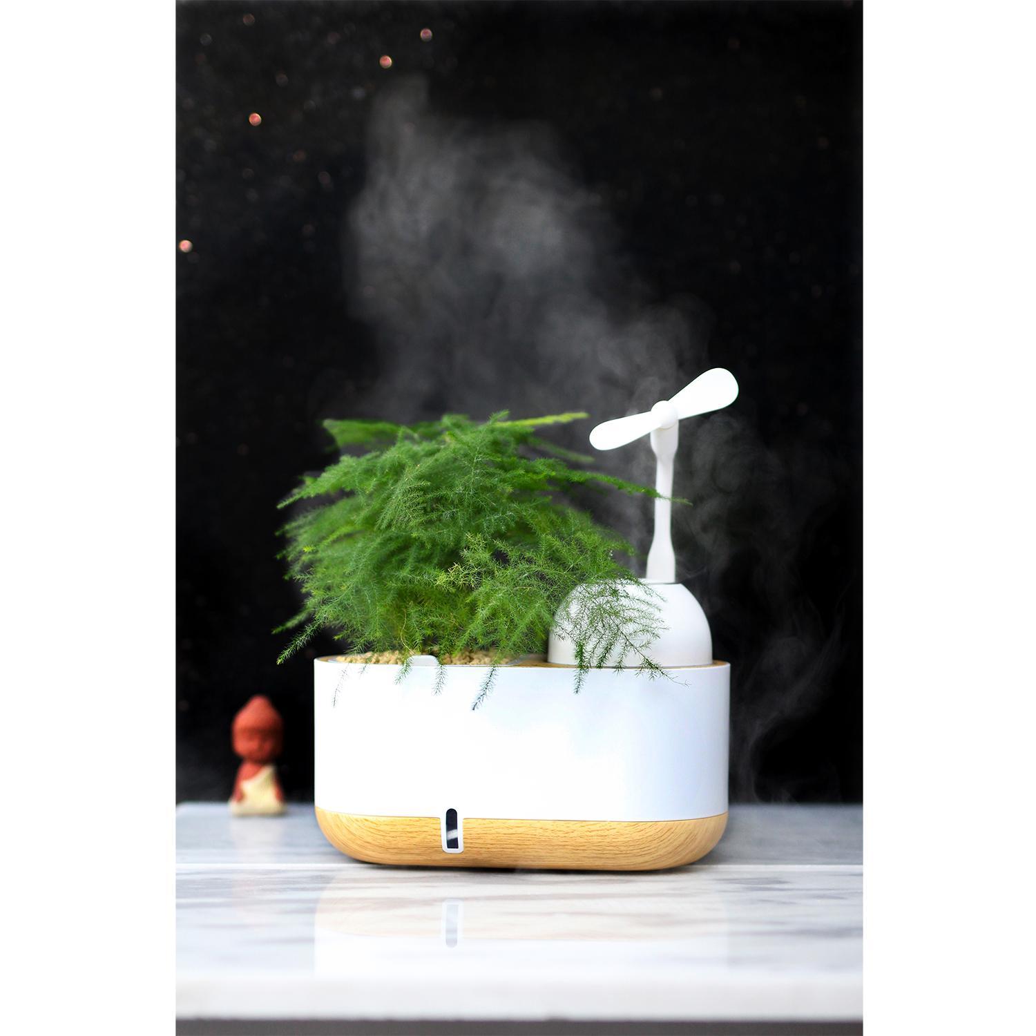 Hydroponisk odlingslåda med smart funktion och luftfuktare