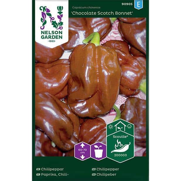 Nelson Garden - Chili Havannapeppar 'Chocolate Scotch Bonnet'