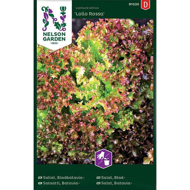 Nelson Garden - Sallat, Bladbativia 'Lollo Rossa'